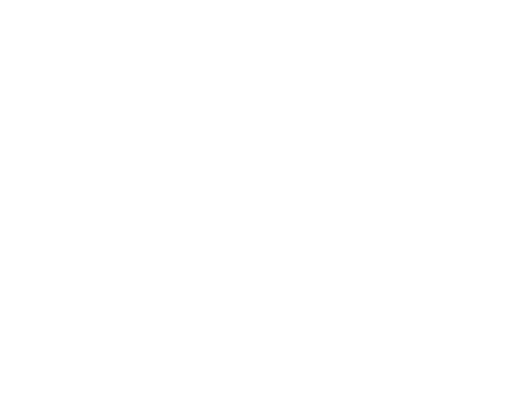 DL3D Logo